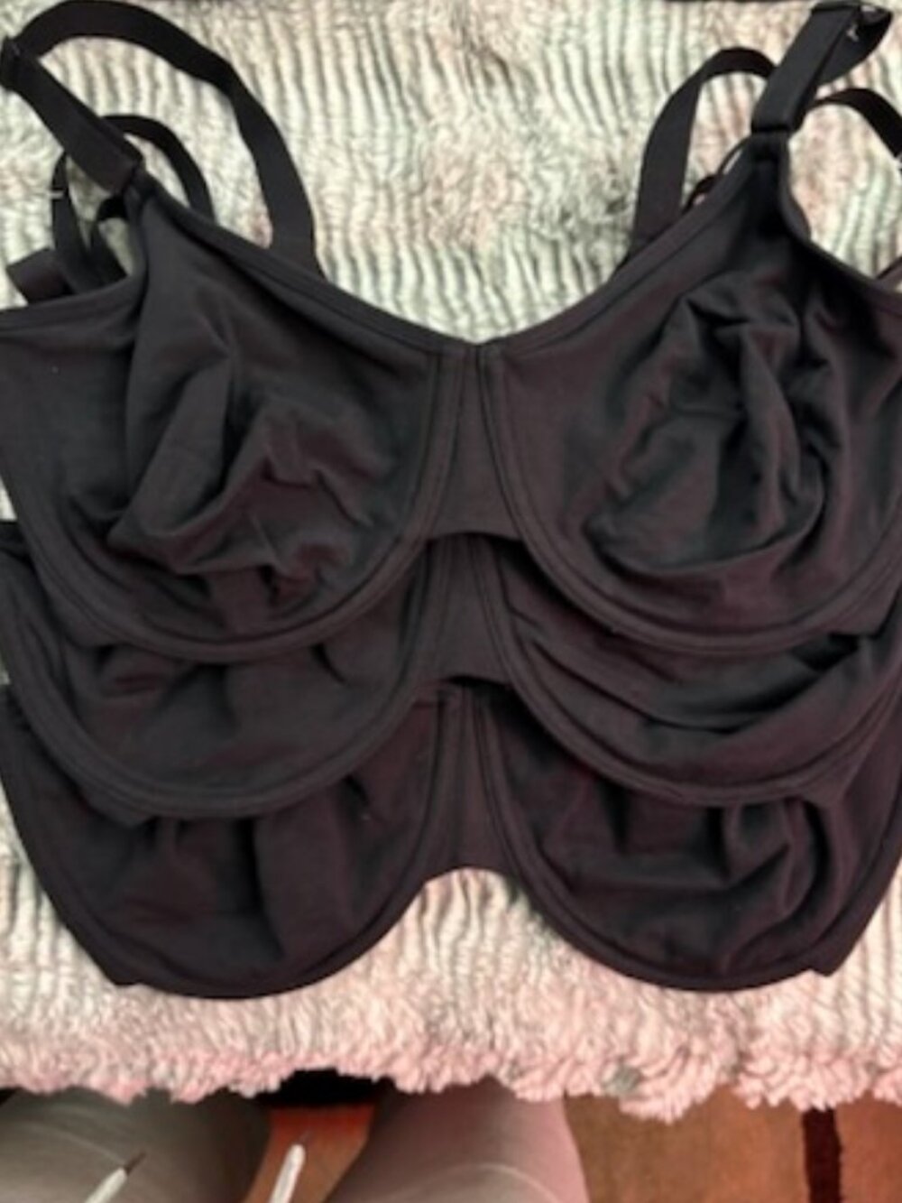 (3) Fruit of the Loom Bras